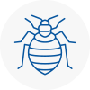 Bed Bug Extermination In Tring