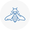 Bee Nest Removal Tring