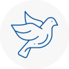 Bird Prevention Tring