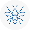 Tring Hornet Nest Removals