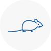 Mice Exterminators In Tring