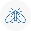 Moth Control Specialists In Tring