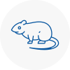 Rat Control Tring
