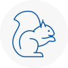Tring Rodent Removals