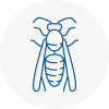 Tring Wasp Nest Removal
